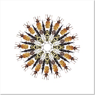 Brown bugs mandala Posters and Art